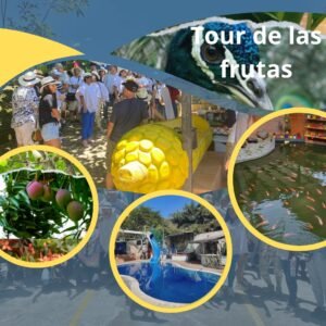 Tour de las Frutas